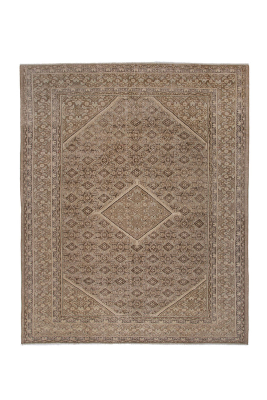 6476 - 10' x 12'10"