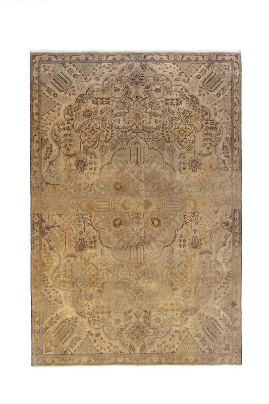 6498 - 5'11" x 9'2"