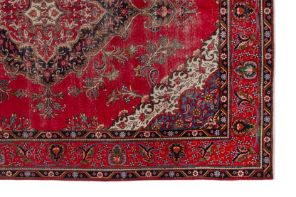 3533 - 9'11" x 13'1"