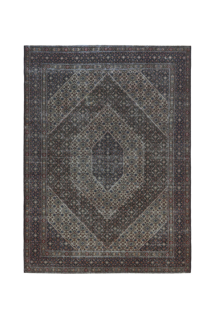 4104 - 8'10" x 12'6"