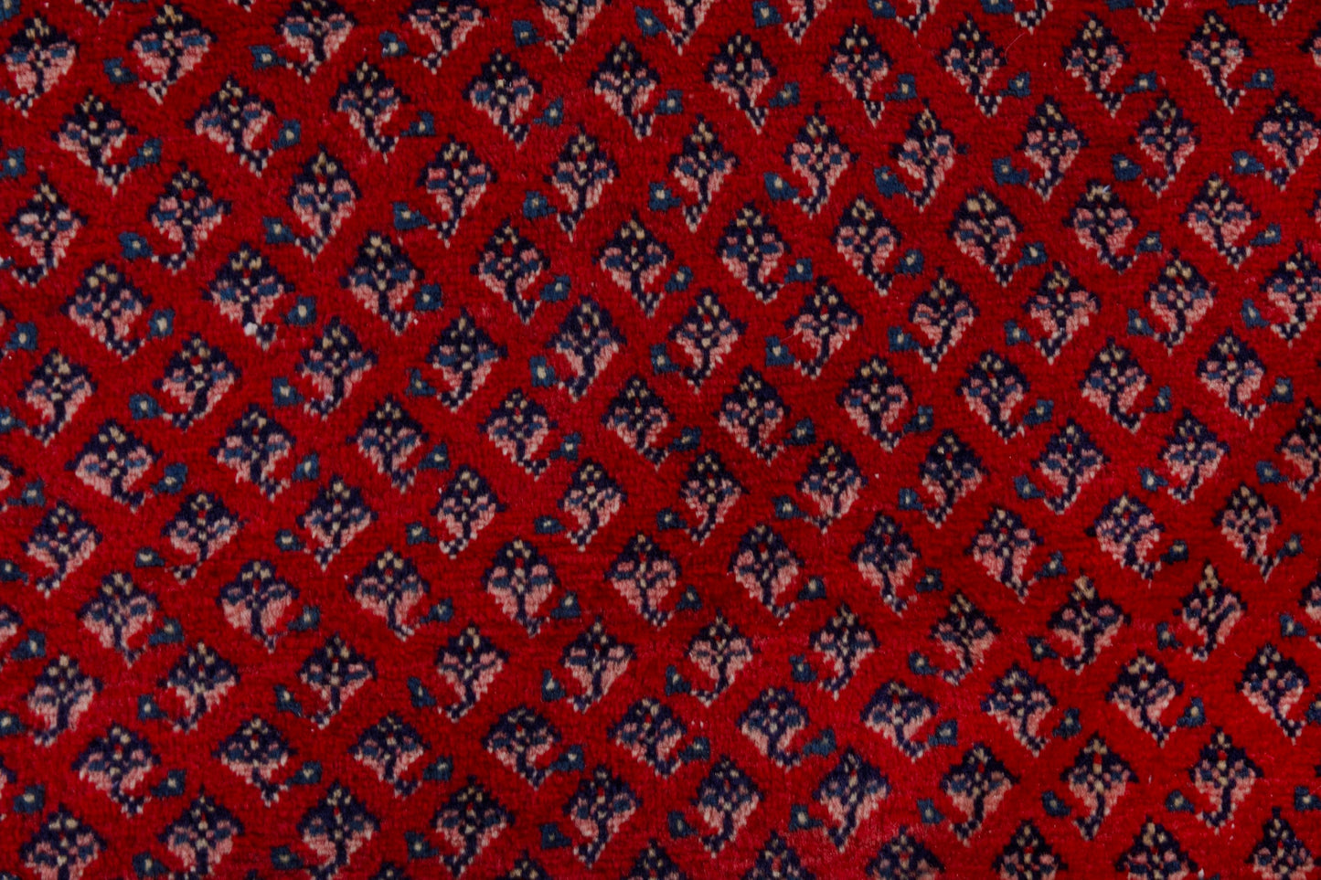 4115 - 7'9" x 10'11"