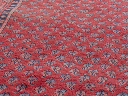 4377 - 2'11" x 9'10"