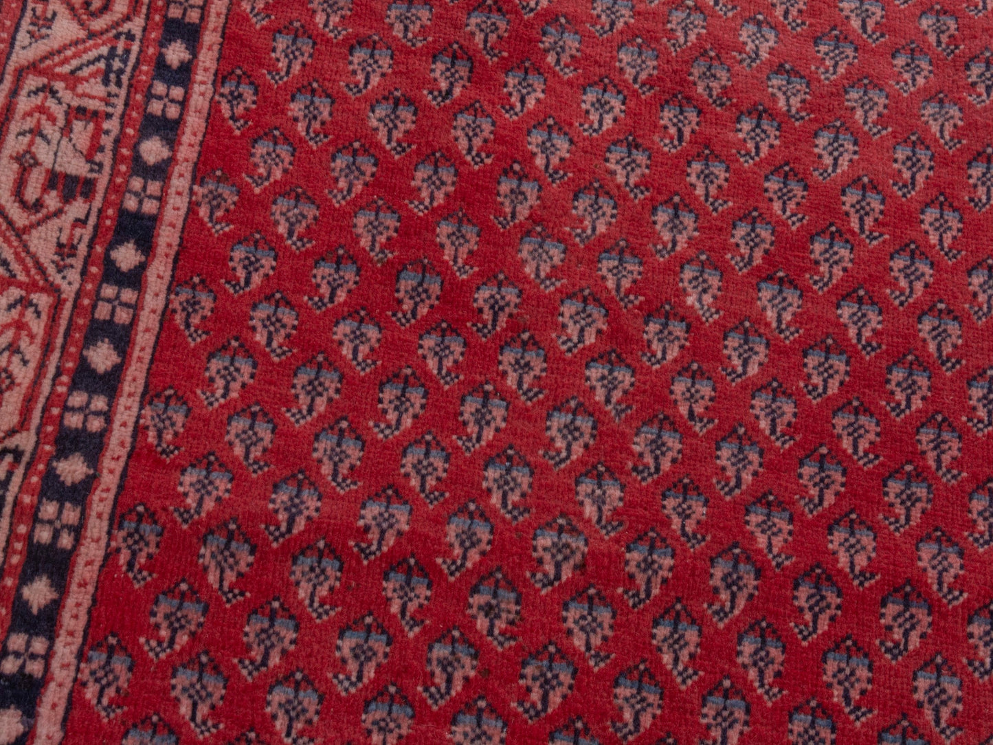 4377 - 2'11" x 9'10"