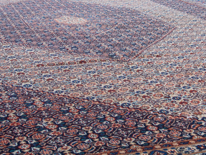 4399 - 9'11" x 13'6"