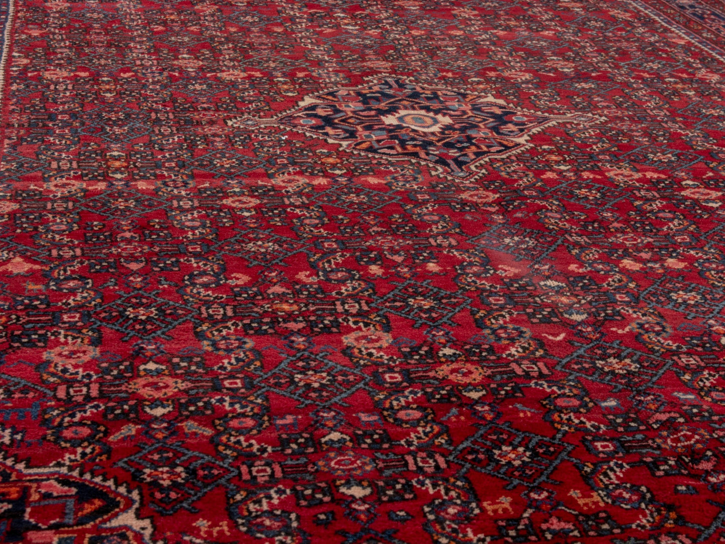 4704 - 6'9" x 10'10"