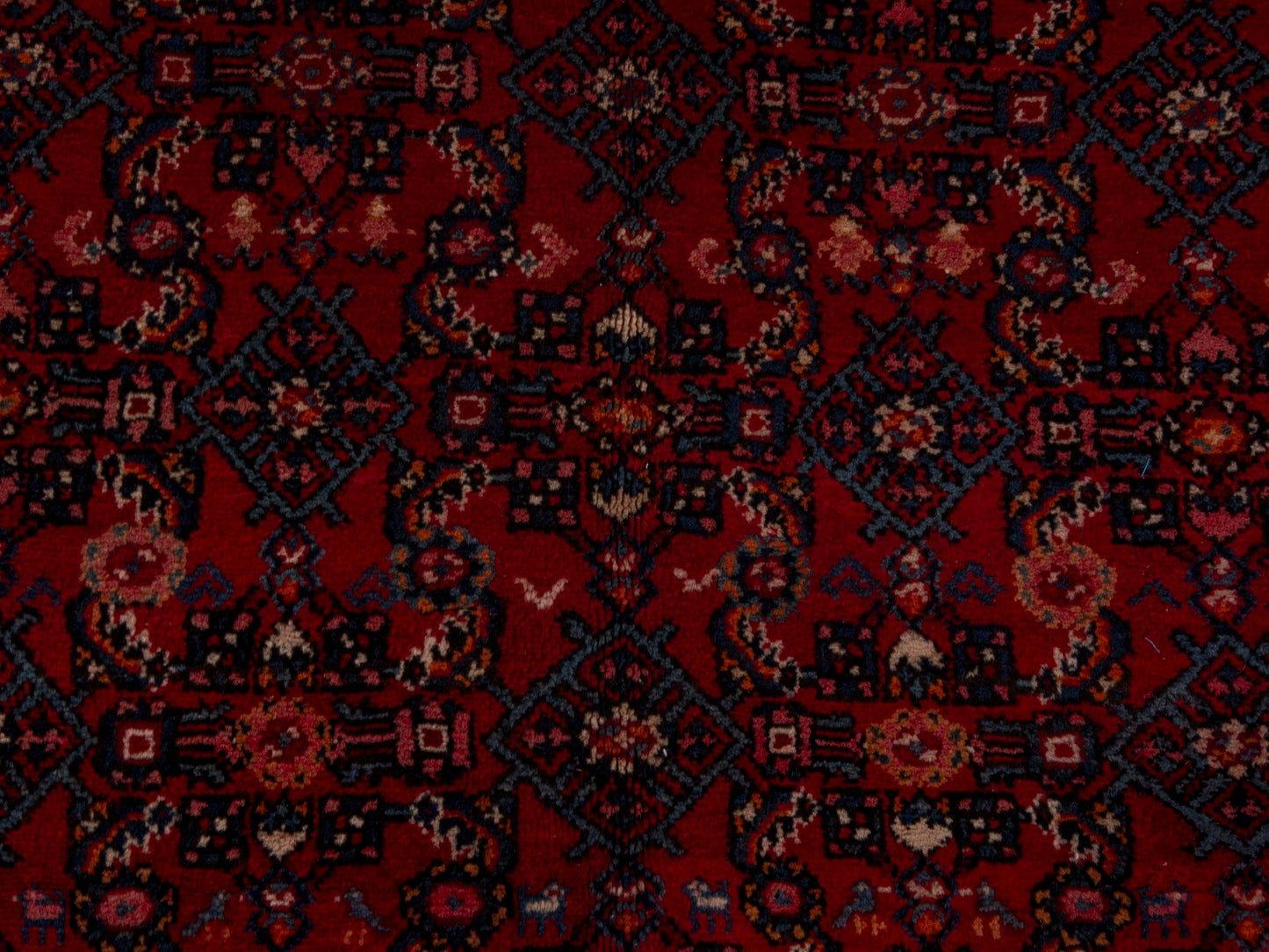 4704 - 6'9" x 10'10"