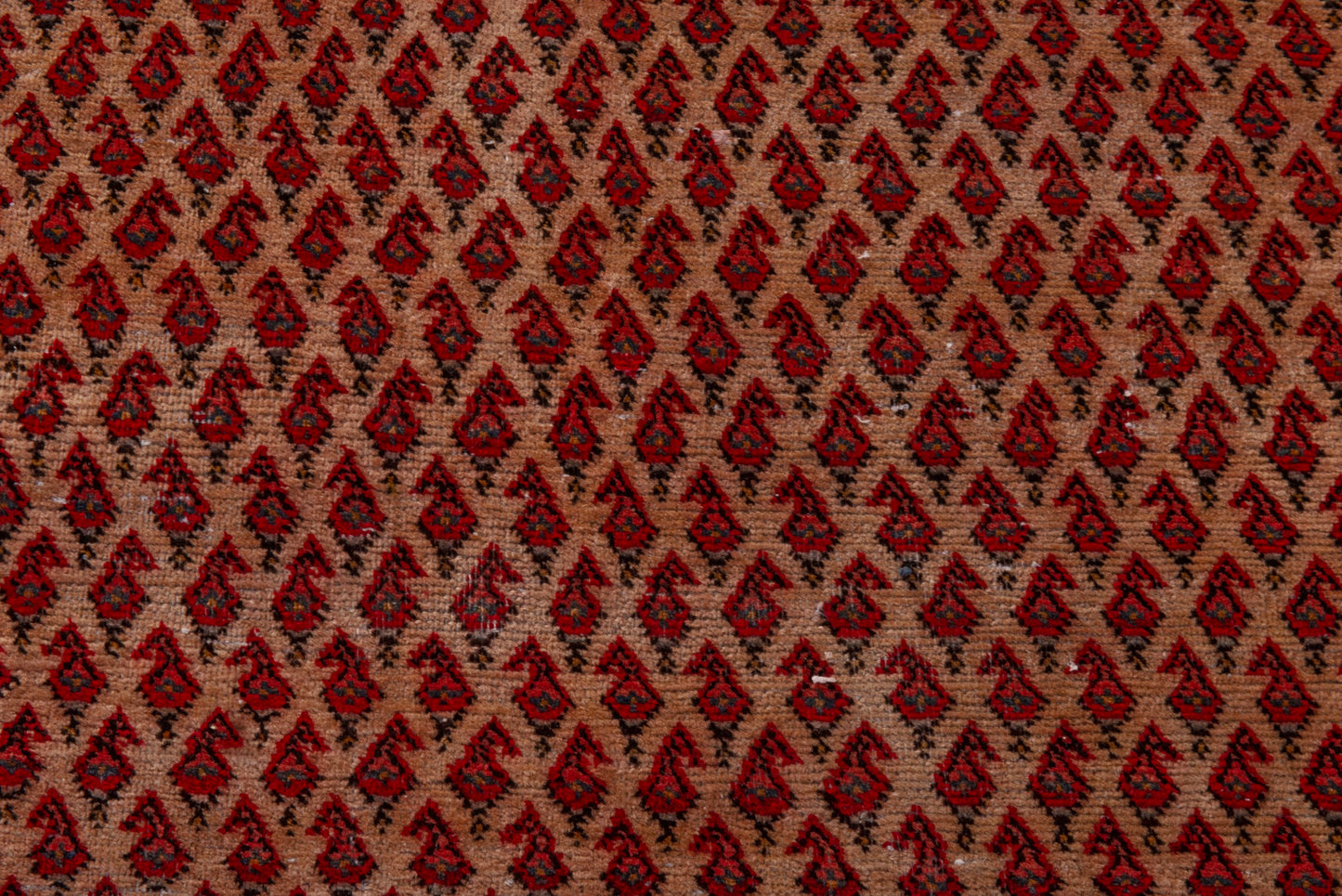 5102 - 8'6" x 13'11"