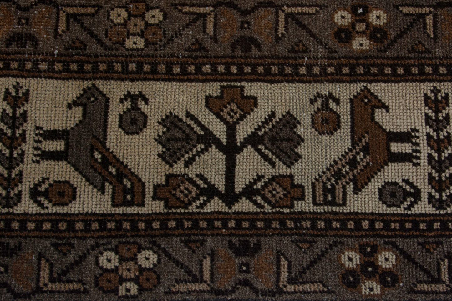 5116 - 8'8" x 11'10"