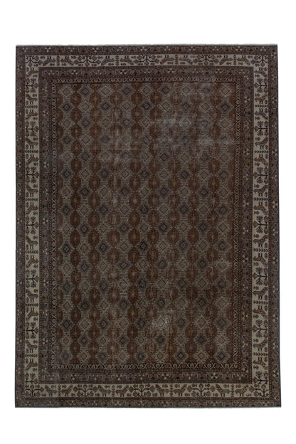 5116 - 8'8" x 11'10"