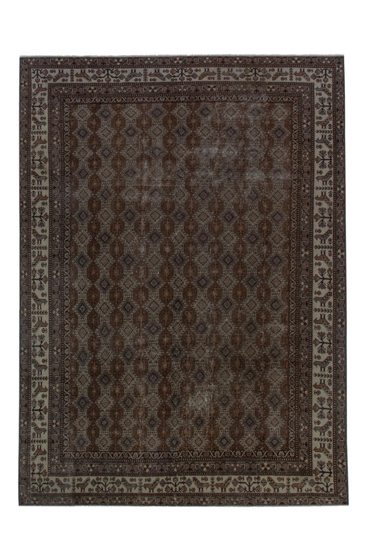 5116 - 8'8" x 11'10"