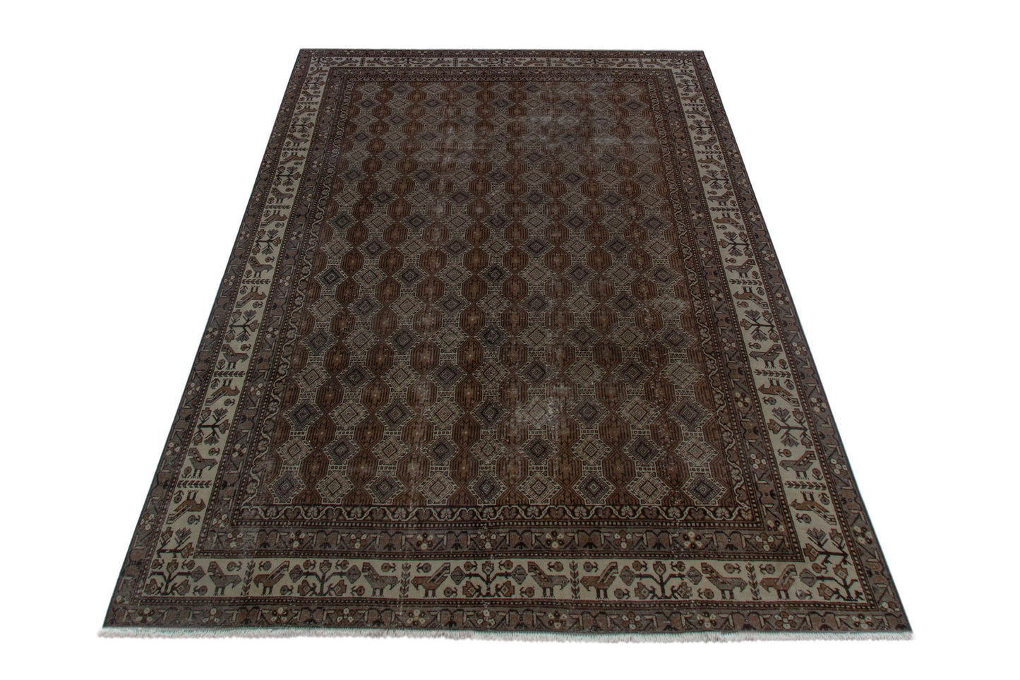 5116 - 8'8" x 11'10"