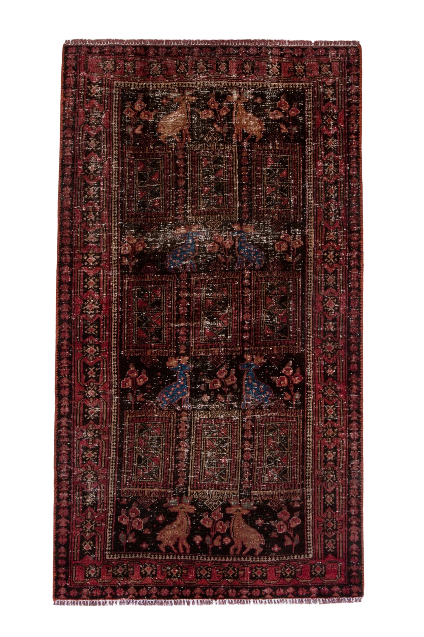 5189 - 2'11" x 5'5"