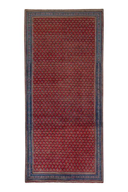 5330 - 4'3" x 10'3"