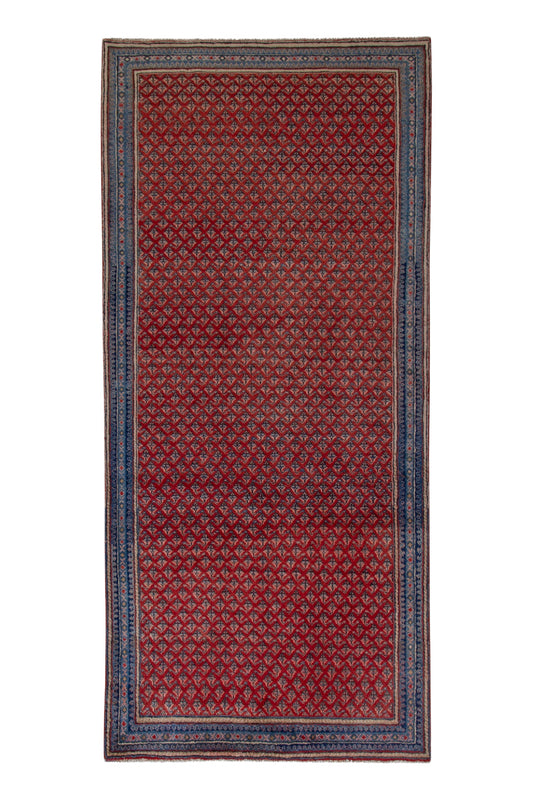 5330 - 4'3" x 10'3"