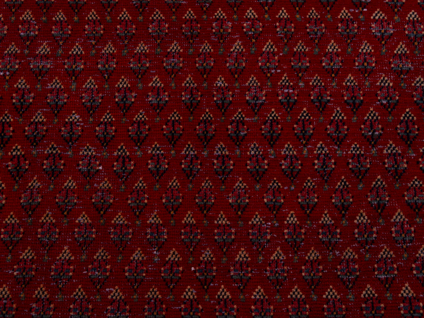 5424 - 2'9" x 11'2"
