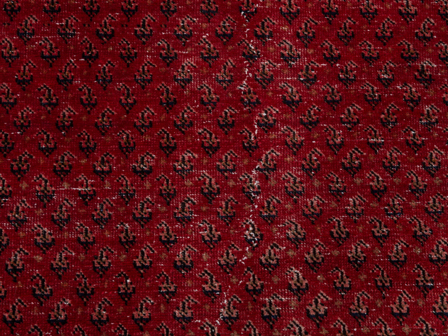 5455 - 2'7" x 9'3"