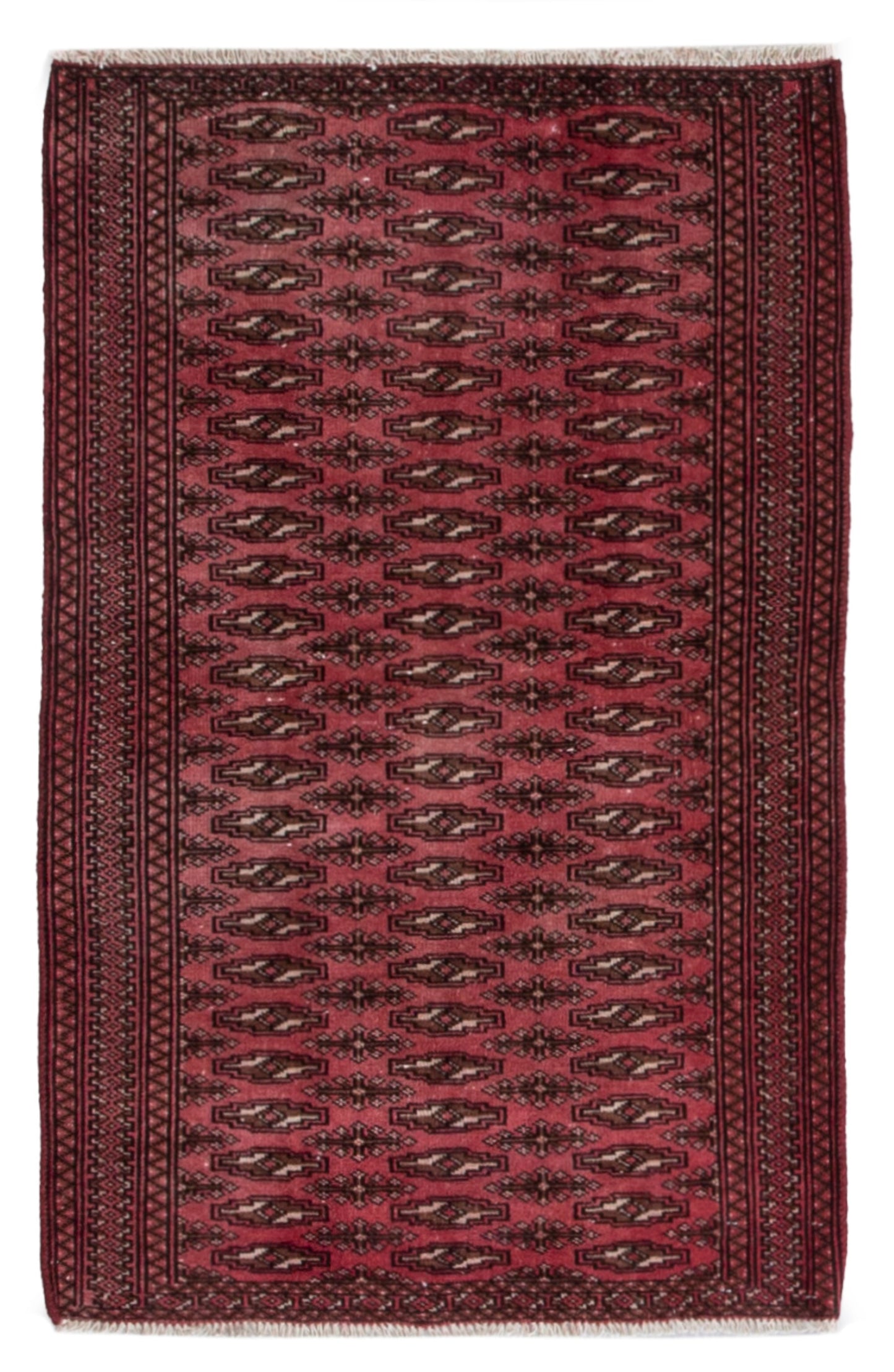 5528 - 2'9" x 4'