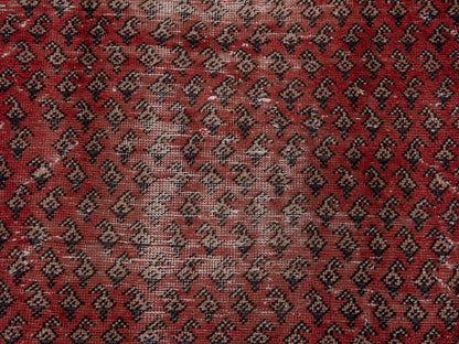5530 - 2'3" x 4'1"