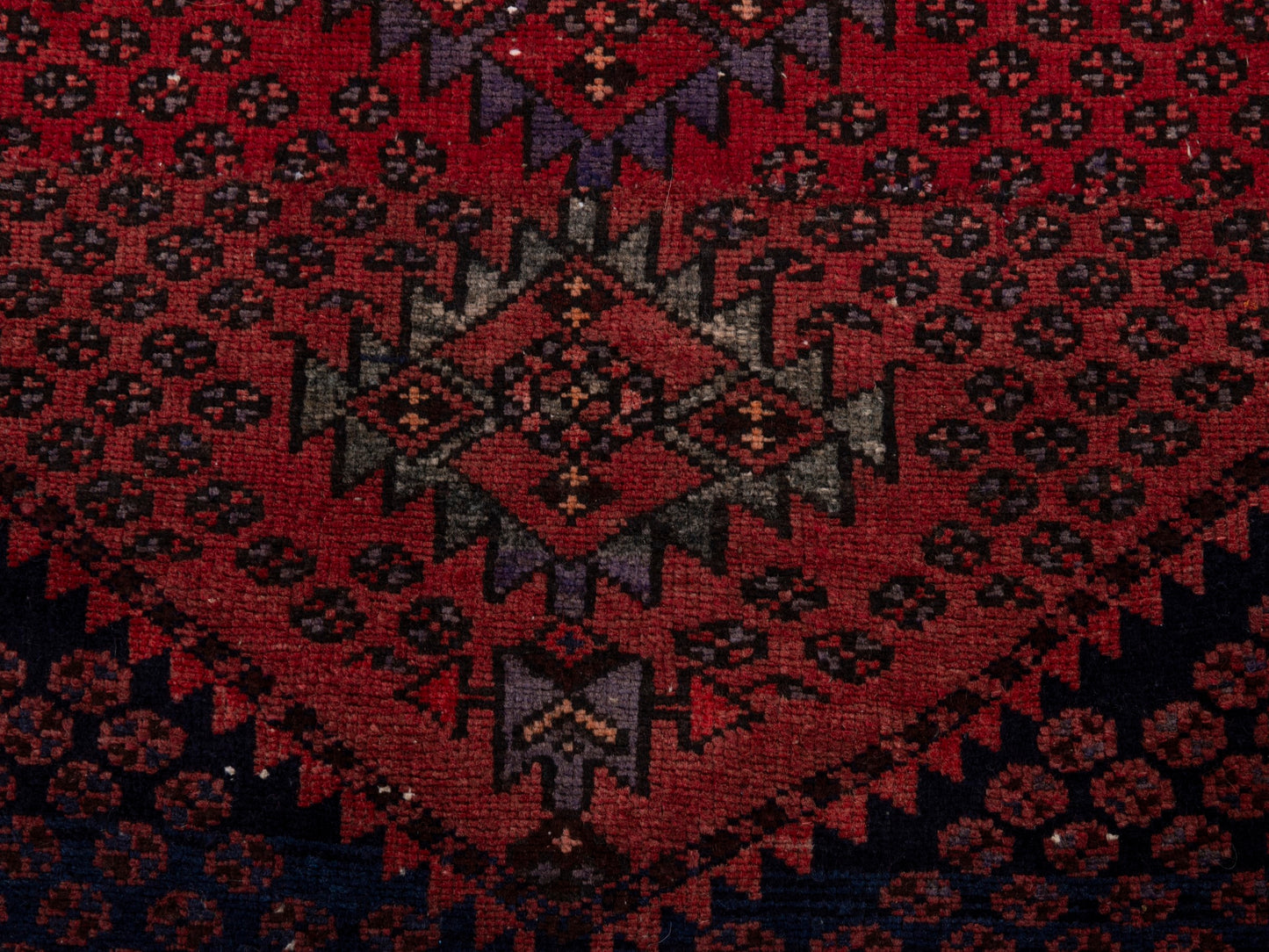 5546 - 3'3" x 4'1"
