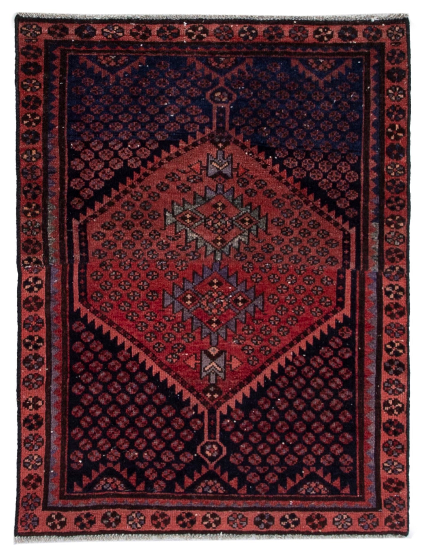 5546 - 3'3" x 4'1"