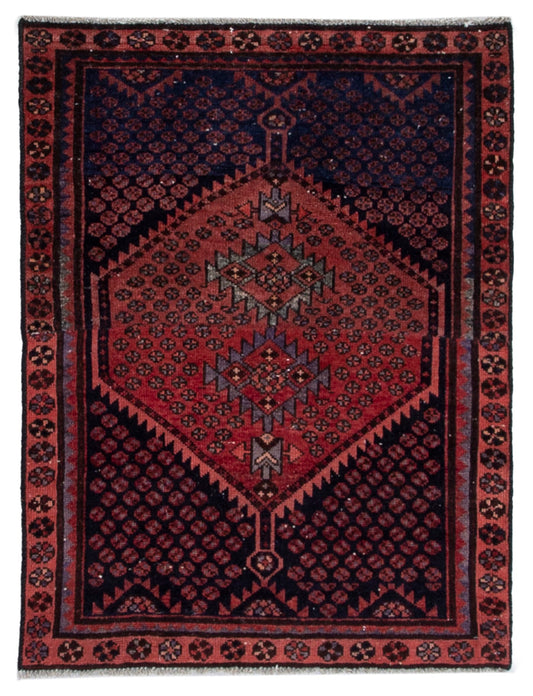 5546 - 3'3" x 4'1"