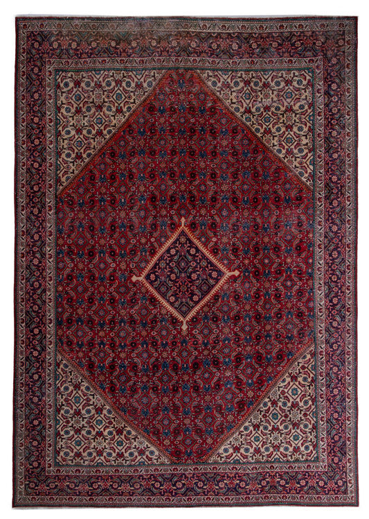 5553 - 9'10" x 13'