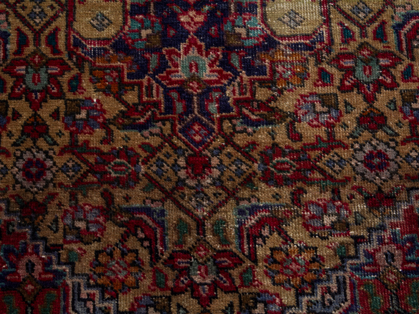 5565 - 9'3" x 12'
