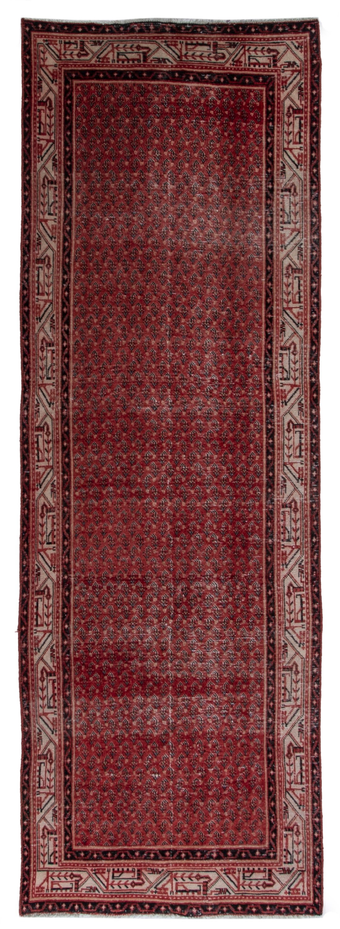 5666 - 3'5" x 10'1"