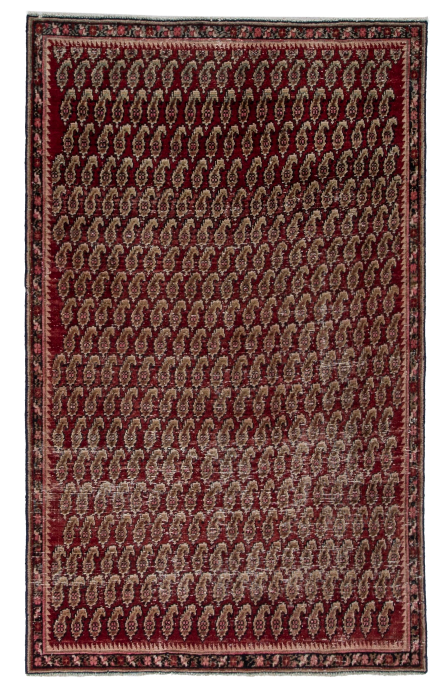 5689 - 3'11" x 6'3"