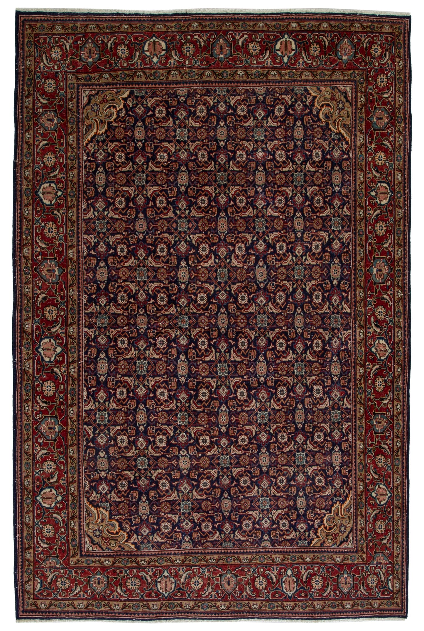 5813 - 9'1" x 12'10"