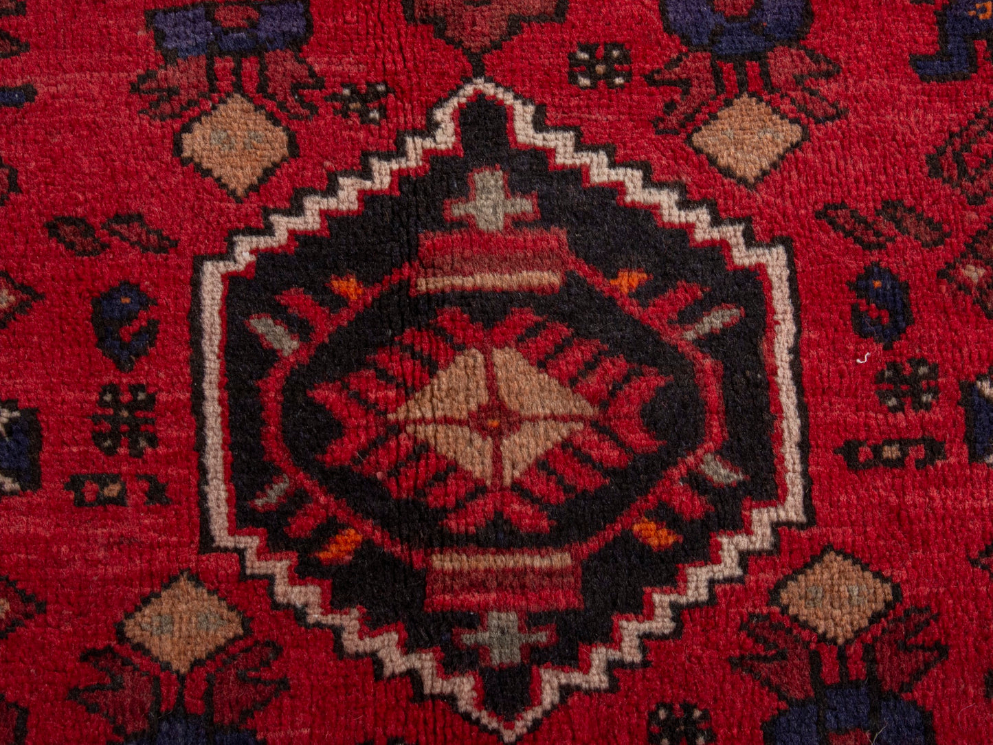 5871 - 3'4" x 4'