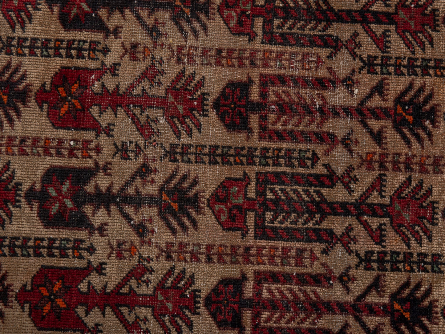 5872 - 1'7" x 3'1"