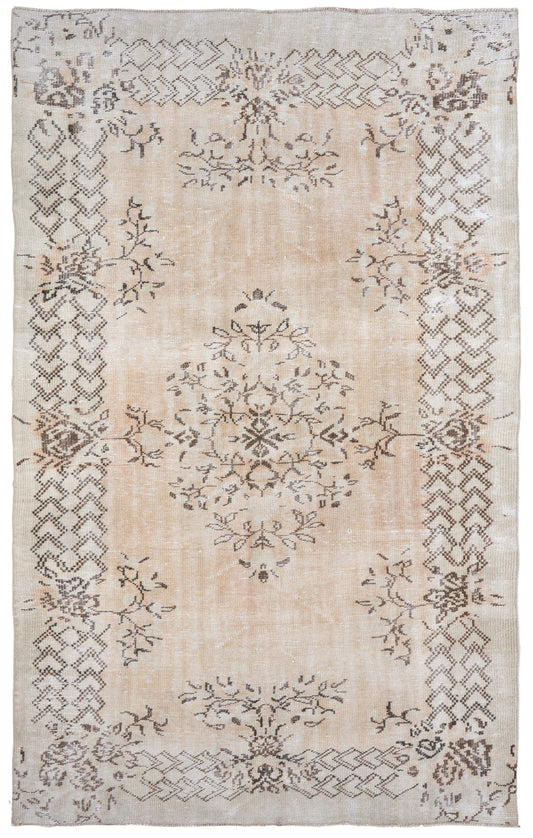 1772 - 5'4" x 9'
