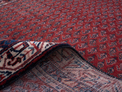 8310 - 3'11" x 10'9"